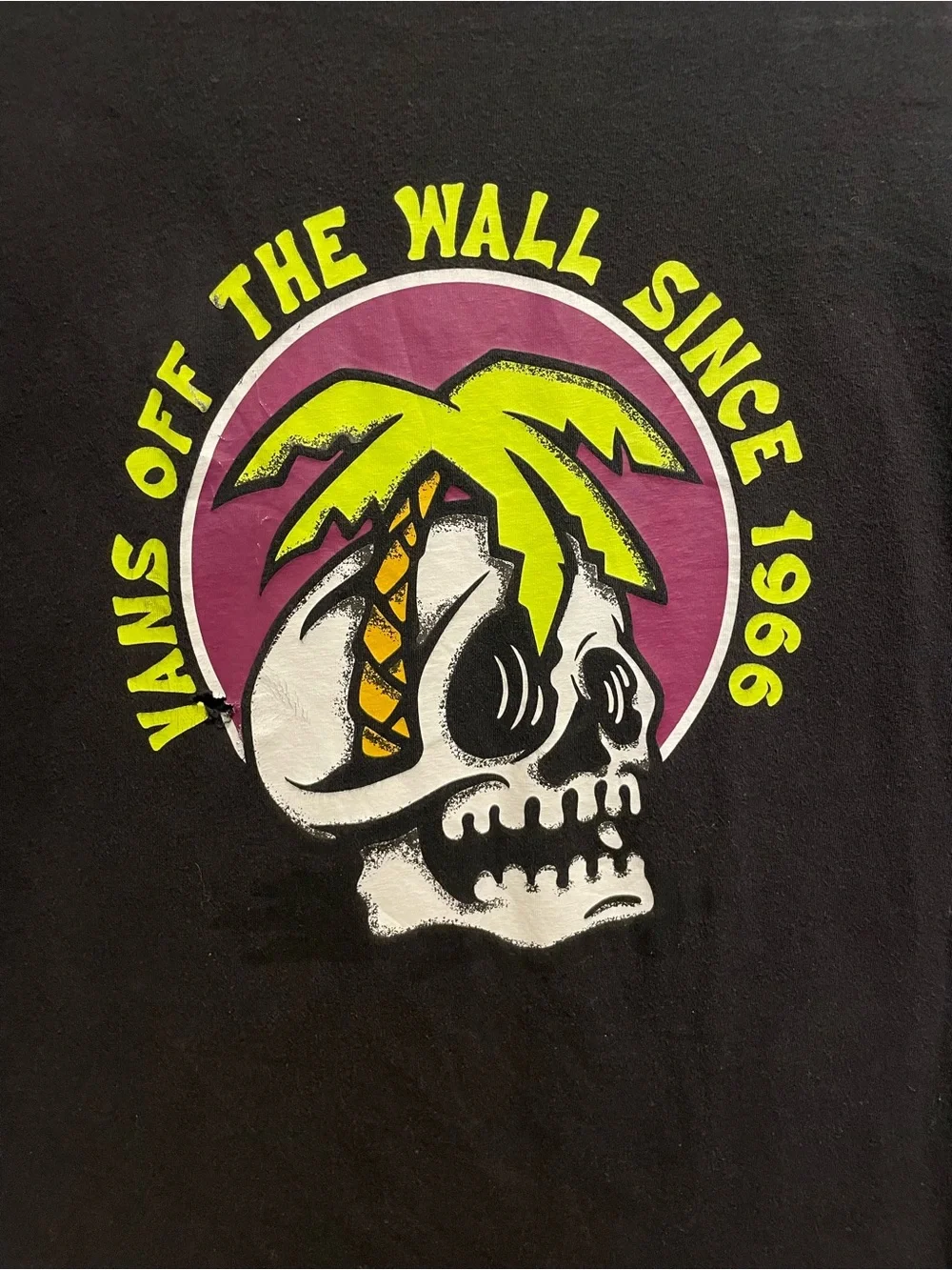 Vans catch ultimate